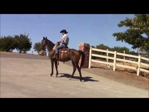 3 Exercises To Cure The Barn Sour Horse, Mike Hughes, Auburn Ca.