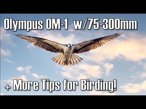 Video thumbnail for Video Review 3