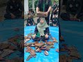 Atraksi Srikandi Pagar Nusa Kertosono Shorts