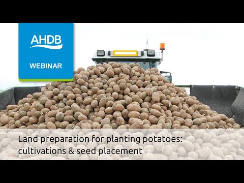 , title : 'Land preparation for planting potatoes: cultivations & seed placement'