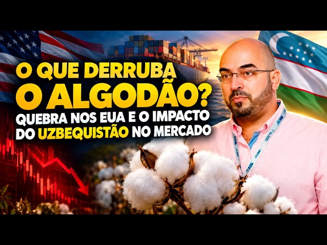 O Que Derruba o Algodão? Quebra nos EUA e o Impacto do Uzbequistão no Mercado.