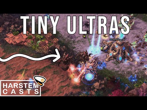 New PATCH Tiny ULTRALISKS | Solar (Z) vs Astrea (P)