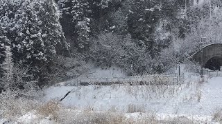 板取川ライブ　清流