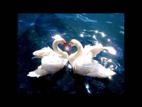 Bonnie Tyler - Believe in Me