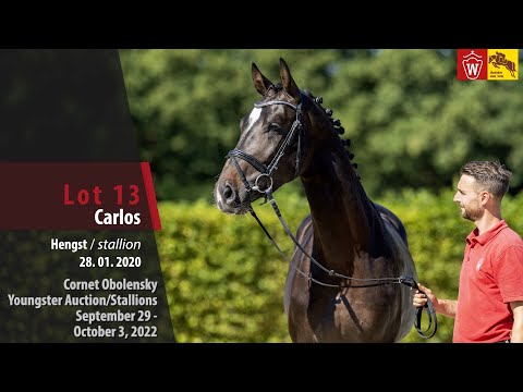 Cornet Obolensky Youngster Auction Lot 13 Carlos Hengst v. Cornet Obolensky - Casall