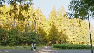 初秋の水元公園散歩