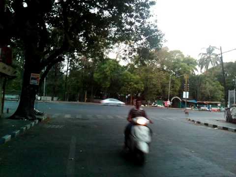 Bluboo Edge daytime sample