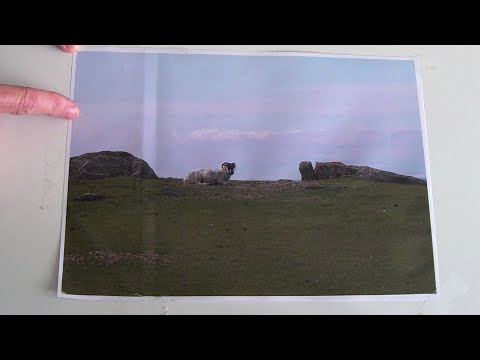 Landscape Quilts - Design - Initial Landscape Composition - The Rule of Thirds