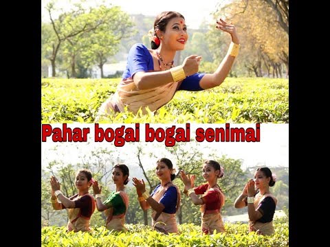PAHAR BOGAI BOGAI SENIMAI || COVER DANCE || KRISHNAMONI CHUTIYA FT BARNALI KALITA