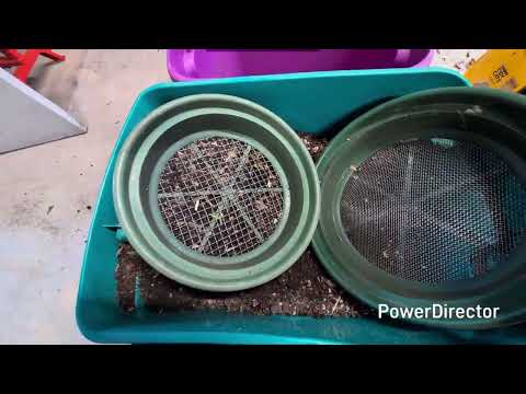 Creating breeder bins- European nightcrawlers