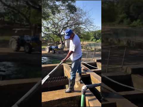 EMARE S.A.S E.S.P avanza en acciones de limpieza y optimización