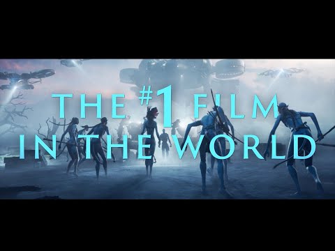 Experience Review 4 Weeks