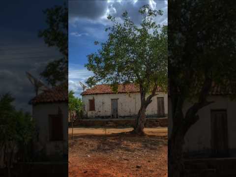 Casinha de taipa raiz em Brejão-PE. Você moraria? #VidaNaRoça #Nordeste #CasaDeTaipa