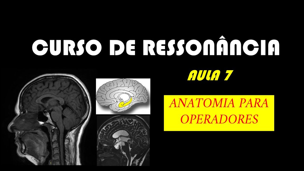 Ressonância - Aula 7 (Anatomia do Encéfalo p/ operadores)