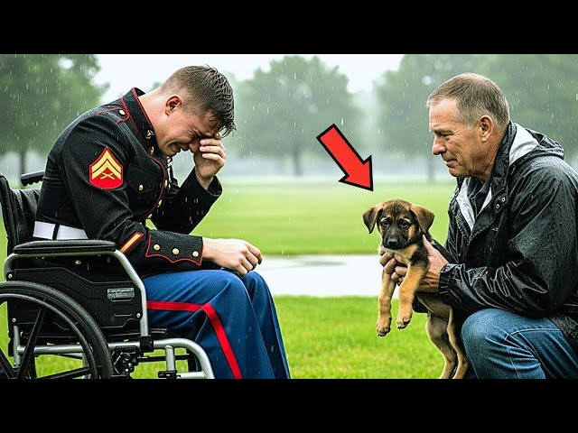 Vídeo relacionado con The Dogfather! Courageous German Shepherd Dad Papa Gift Camiseta