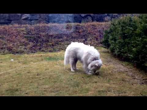 Cozy time at Ruksana's place