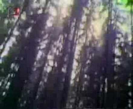 Česká soda - Česká soda - 1. část