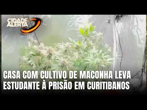 Estudante de odontologia é preso por tráfico de drogas em Curitibanos