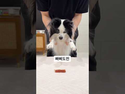 분명 간식 날리기 챌린지인데🤣