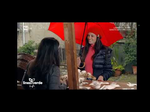 Linea Verde del 31/12/2022 #raiuno #lineaverde Cilento-Salerno #salerno #cilento