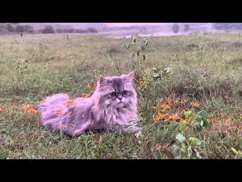 Zoey ra 1 st outing (jhumuka)