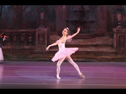 Aurora Variation from Sleeping Beauty Alina Taratorin
