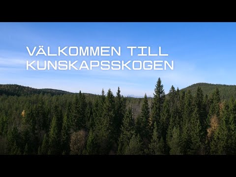 Välkommen till Kunskapsskogen – skog för att samla in och sprida kunskap