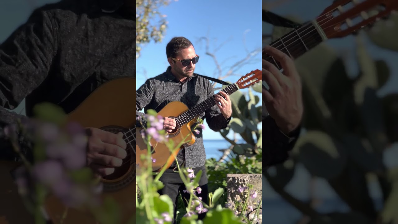 Promotional video thumbnail 5 for Matteo Guitar Performance