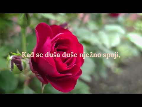 Blizina koja spaja – Kad se duša duše nježno spoji / Čarobna duša