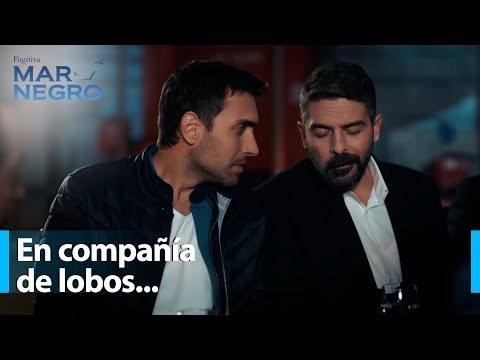 La misteriosa reunión de Genco - Mar Negro Capítulo 159 | Fugitiva