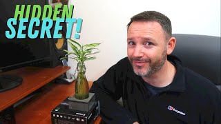 Lucky Bamboo & The Hidden Secret! ~ Dracaena Sanderiana Care Guide