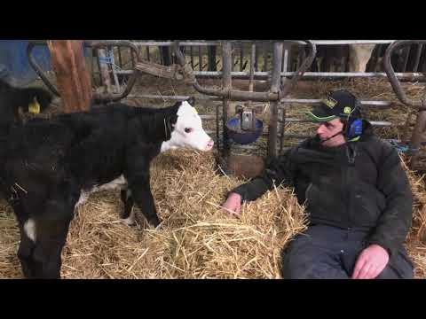 Ida kör fast i skogen 🌲🌲