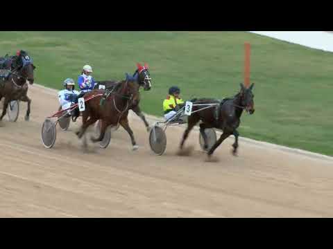 2018.04.07. Ügető 1. futam