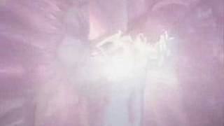 Princess Tutu Is Burning  AMV