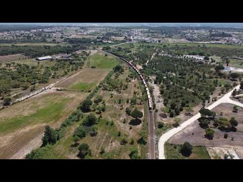 Comboio de contentores na LVN