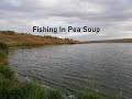Video Thumbnail for Fishing In Pea Soup