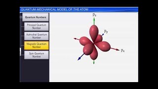 CBSE Class 11 Chemistry || Quantum Mechanical Model of the Atom || By Shiksha House