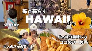 孫と暮らすハワイの日常/そんな事言わないでよーの散歩//孫2歳4ヶ月/#ハワイ 暮らし /家族vlog #family #hawaii #honolulu