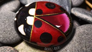 Ladybug 🐞
