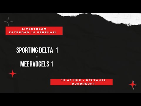 Sporting Delta 1 - Meervogels 1