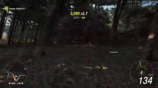 Forza Horizon6をします