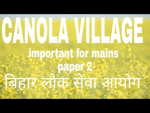 (Hindi)What is Canola Village? How it is Different from Mustard in Hindi?