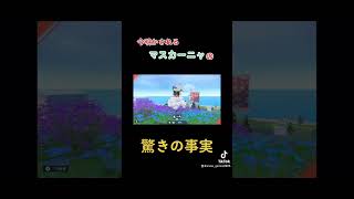 そんなマスカーニャでも愛してます