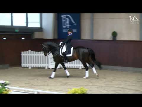 Blue Hors Farrell - april 21