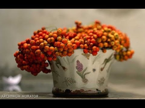 LECZNICZA NALEWKA z jarzębiny. Przepis