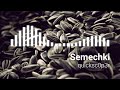 Quicksc0p3r Semechki Slavic Hardbass