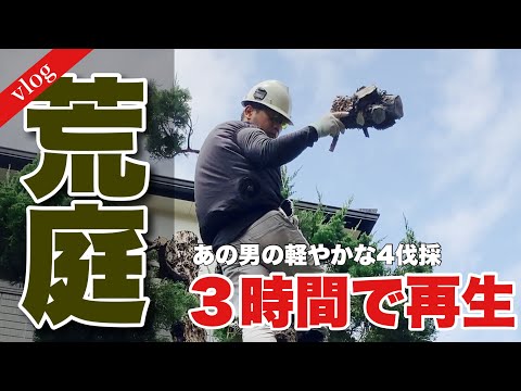 jardin alpin façade-mason-ronds-bois-massif-galets