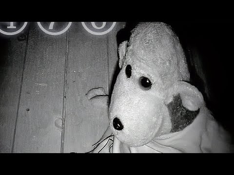 psilodump and Matophonia