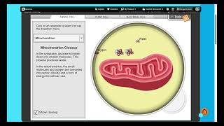 Cell Structure Gizmo Walkthrough | Plant, Animal & Bacterial Cells Explained & Compared
