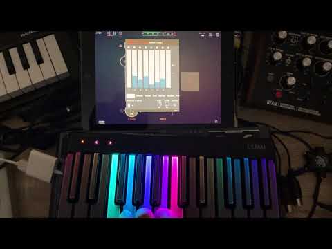 ArpBud 2 Bluetooth MIDI Capability Demo for App Review Team